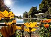 Tanzferien im Berner Oberland Pool